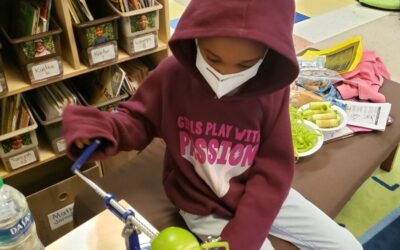 South Carolina’s 2024-25 Budget Helps Students Succeed