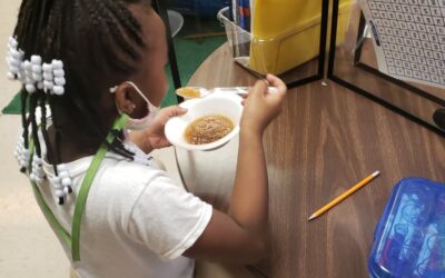Why Educational Consultant Services Are Important for Schools